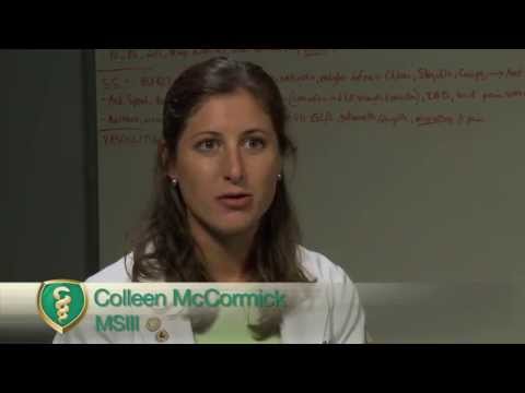 how to provide evidence of communication skills