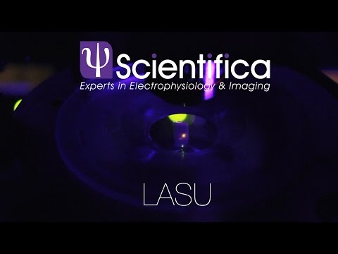 Scientifica - LASU  Optogenetics, photostimulation and uncag
