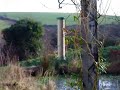 Siskins and goldfinches on the feeder