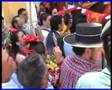 MENTA Y ROMERO EN VILLAMANRIQUE 2008