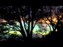 Short HD A208- Sunrises on Jacksonville FL