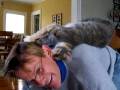 videos de Monkey the Cat Does Pushups