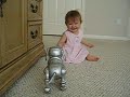 The funny  toy   dog