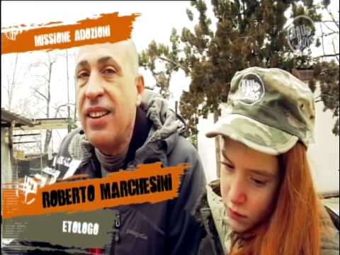 Vedi il video