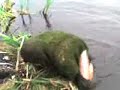 prignul v bolot (jumped in the swamp)