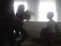 pollow fight! pollow fight!