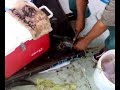 تنظيف سمكة القراض عن طريق السلخ في أقل من 15 ثانية و بإحتراف مبهر