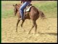 videos de Zippos Mr Good Bar 2006 Colt - Shiny New Penny