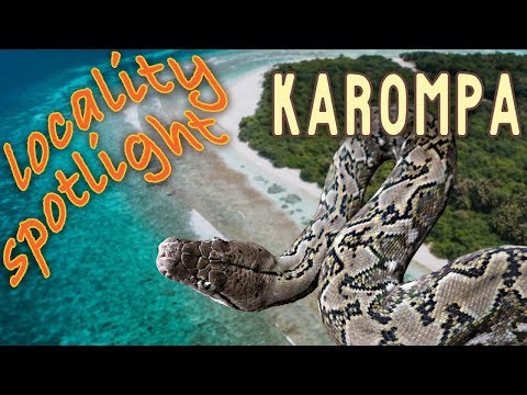 YouTube reptile video