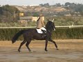 Hipica Record de Altura 1.80m Jennifer Gonzalez con Chester