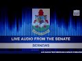 Live Audio: Bermuda Senate in Session