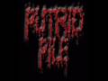Putrid Pile - Bodies On Display