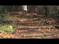 Rocky In Greece: The Montage Rocky In Greece: The Montage