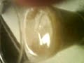 moi qui bouffe un truc d�geu