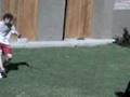 videos de boludeando en el patio 9