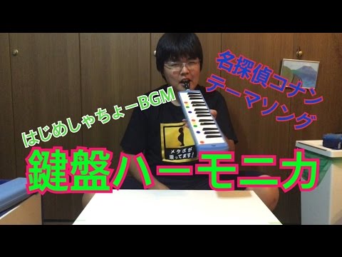 動画