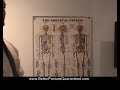 Better Posture Guaranteed - Look and Feel Better