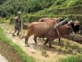Improving rural access in Nepal