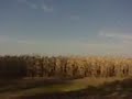 VID 00050.3GP