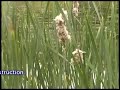 Flower Mound Urban Forest Slated for Development