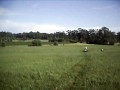 Neillsville Grass Tubing Neillsville Grass Tubing