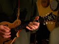 Mandolin