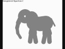 The Athletic Elephant