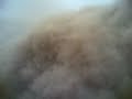 firtina