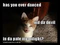 lol-cats-crabby-kitties.html