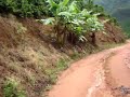 Atr�s da Siriema