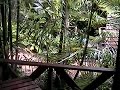Cairns ?????? Kewarra Beach Resort www.kewrra.com in the nat