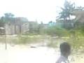 videos de SMALL SNAKE IN MANALI NEW TOWN RAIN WATER, CHENNAI