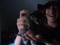Katzen m�gen sich