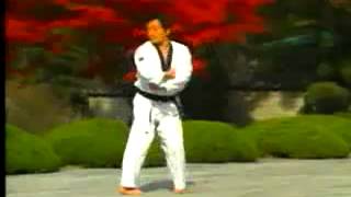 taekwondo poomse 7