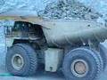 cat 797
