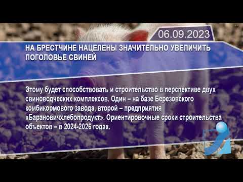 Новостная лента Телеканала Интекс 06.09.23.