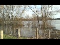 Hoogwater van de Maas in Boxmeer