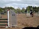 Gota Cupen Omg.3 i Vara 17/5-08