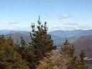 View from Eatwells Lookout, Queen Chartlotte Track View from Eatwells Lookout, Queen Chartlotte Track