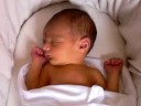 Little baby Tarun Lee Williams