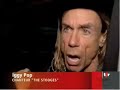 iggy pop
