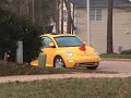 My First Beetle