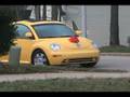 My First Beetle