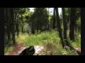 The Hunter (PC) - Gorgeous FREE Hunting Game [HD]