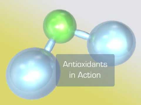 Antioxidants vs. Free Radicals.key