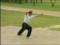 D�monstrations de Kung Fu Shaolin Liu He Qing Long Quan