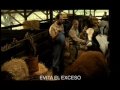 Vacas - Sol Beer