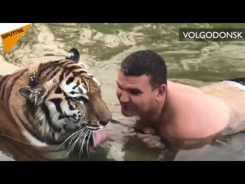 Un homme baigne un tigre dans les eaux du Don