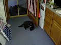The Amazing Mr. Blackswell Gets His Toy Out of the Cabinet