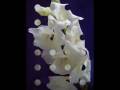 Tschaikowsky - Waltz of the flowers